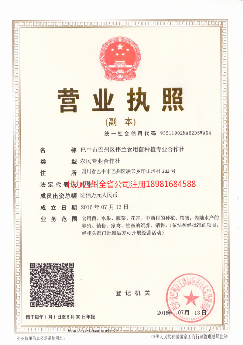 泸州市泸州市伟兰食用菌种植专业合作社